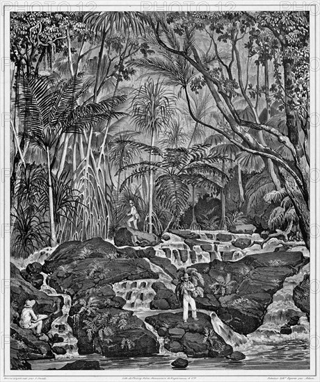 View of the Interior of Peel Island, Bonin Islands, 19th century. Creators: Alexander Postels, Victor Adam, Godefroy Engelmann.
