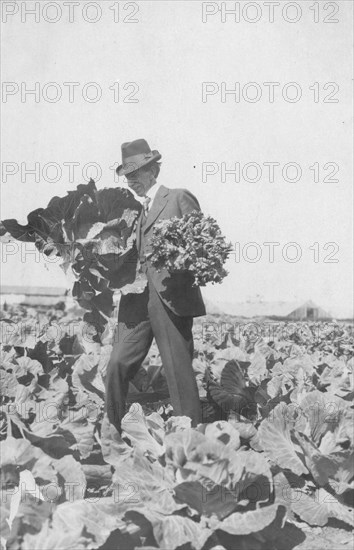 Frank G. Carpenter on Mr. Rickert's farm, between c1900 and 1916. Creator: Unknown.