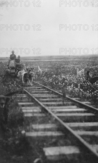 Pupmobile, between c1900 and 1916. Creator: Unknown.