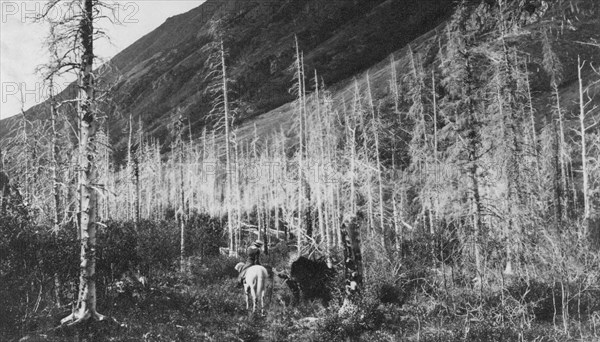 Trail to Sunrise, between c1900 and 1916. Creator: Unknown.