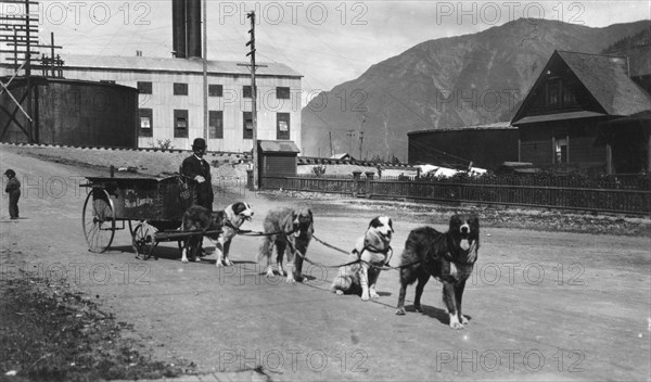 Dog team used to deliver laundry, between c1900 and 1923. Creator: Unknown.