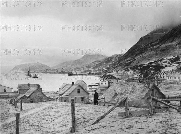 View of Kodiak, between c1900 and 1923. Creator: Unknown.