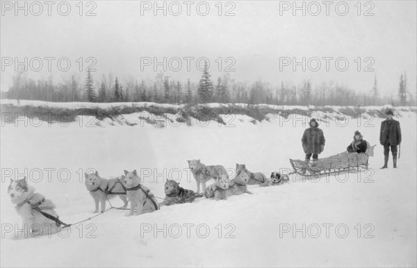 Dog sled team, between c1900 and 1927. Creator: Unknown.