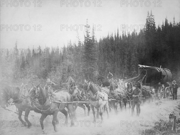 Horse team on the Overland Trail, between c1900 and 1927. Creator: Unknown.