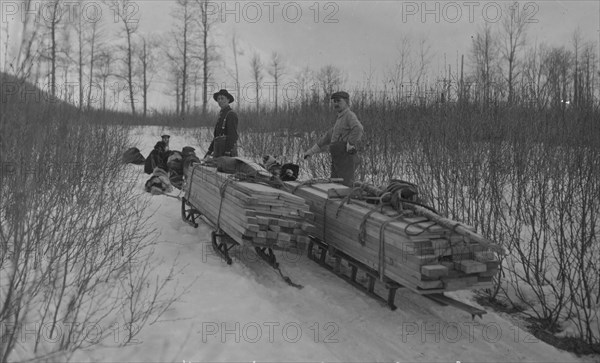 Hauling lumber by dog sleds, between c1900 and c1930. Creator: Unknown.