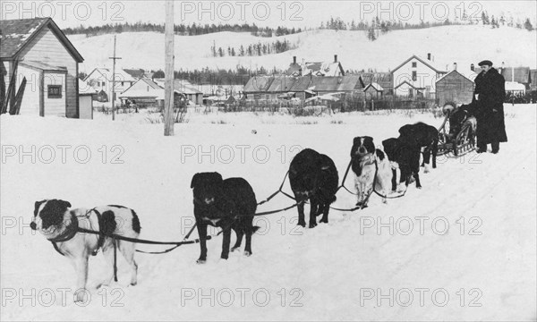 Dog sled team, between c1900 and c1930. Creator: Unknown.