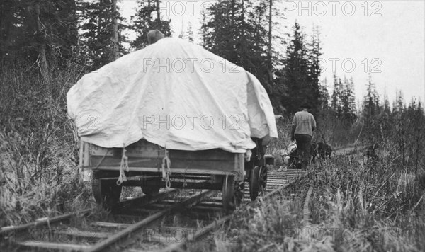 Dog team pulling railroad cart, between c1900 and c1930. Creator: Unknown.