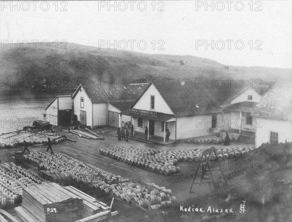 Salmon works, between c1900 and c1930. Creator: Unknown.