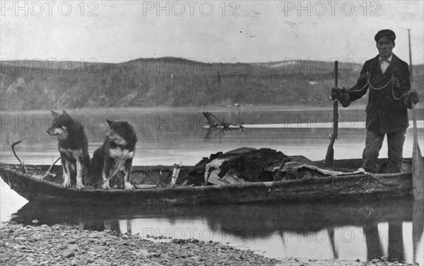 Trapper with hides and dogs in canoe, between c1900 and c1930. Creator: Unknown.