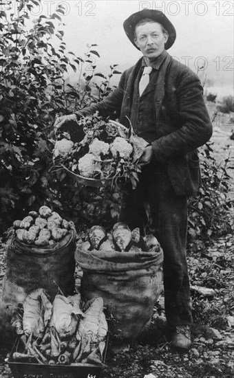 Vegetables, between c1900 and c1930. Creator: Unknown.