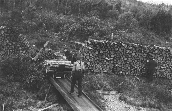 Wood chopper's station with fuel for steamers on the Upper Yukon, between c1900 and c1930. Creator: Unknown.