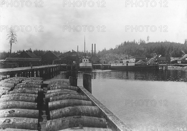 Salmon works, between c1900 and c1930. Creator: Unknown.