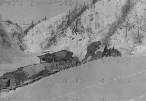 Prospector with dog team, between c1900 and 1923. Creator: Unknown.