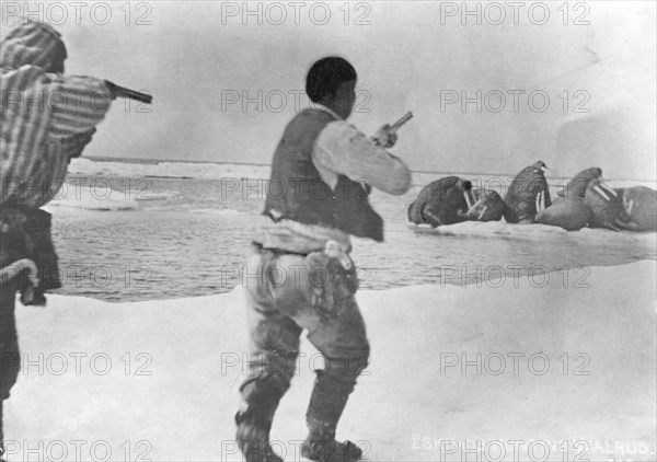 Eskimos hunting walrus, between c1900 and 1927. Creator: Unknown.