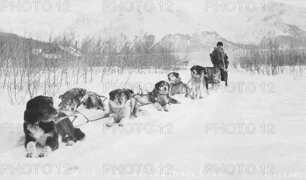 Seward and Susitna mail team, between c1900 and c1930. Creator: Unknown.