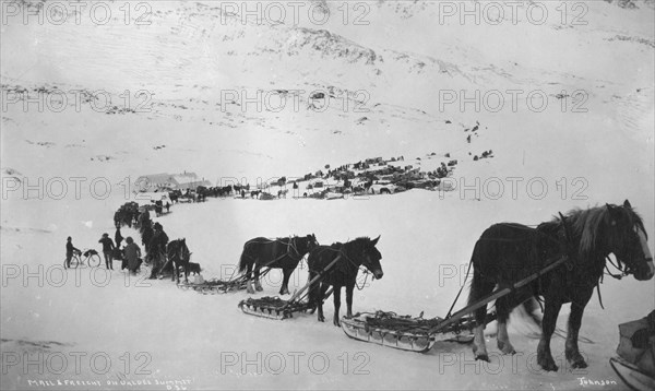 Transportation with horses, mules, dogs and bicycle, between c1900 and 1927. Creator: Unknown.