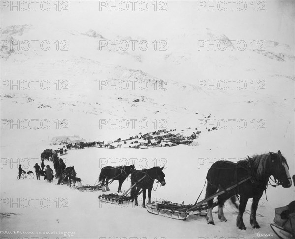 Transportation by horses, mules, dogs and bicycle, between c1900 and 1927. Creator: Unknown.