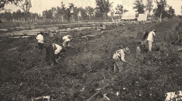 View of the road construction near the village of Practichi, 1909. Creator: Vladimir Ivanovich Fedorov.