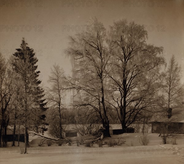 Village of Turovo, Luzhskii district, Saint Petersburg province, between 1905 and 1915. Creator: Sergey Mikhaylovich Prokudin-Gorsky.