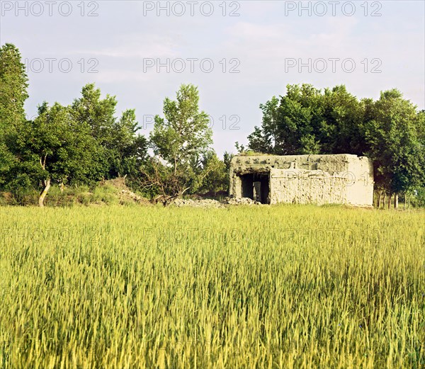 Adobe building in a grassy field, trees in background, between 1905 and 1915. Creator: Sergey Mikhaylovich Prokudin-Gorsky.