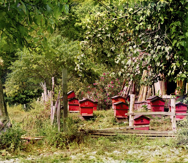 Peasant apiary near Gagra, between 1905 and 1915. Creator: Sergey Mikhaylovich Prokudin-Gorsky.