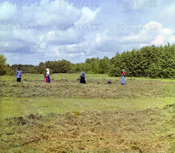 Haying [Russian Empire], 1909. Creator: Sergey Mikhaylovich Prokudin-Gorsky.