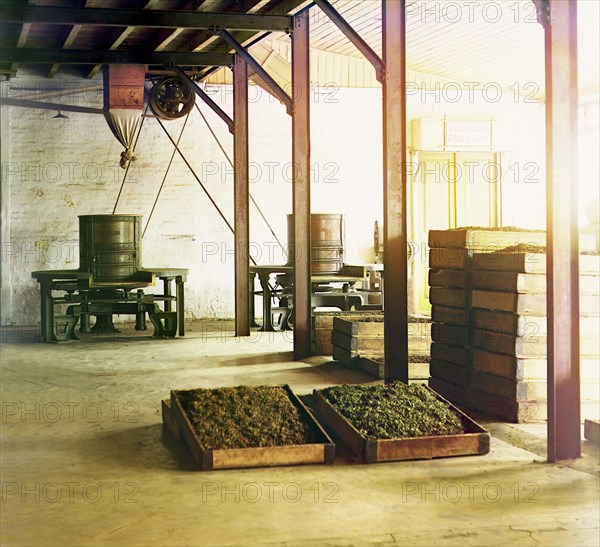 Tea factory in Chakva; tubs and baskets with fragrant tea, between 1905 and 1915. Creator: Sergey Mikhaylovich Prokudin-Gorsky.