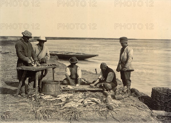 Spreading of fish, 1909. Creator: Nikolai Georgievich Katanaev.