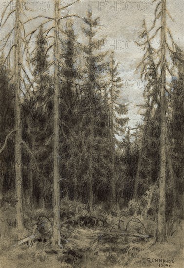 Spruce Taiga near Irkutsk, 1904. Creator: Boris Vasilievich Smirnov.