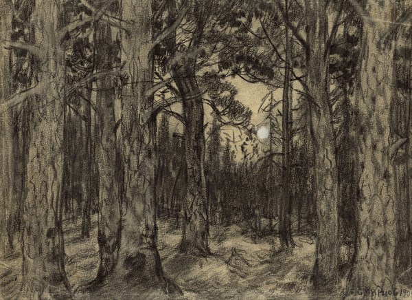 Deep in the Woods of the Krasnoyarsk Taiga, 1904. Creator: Boris Vasilievich Smirnov.