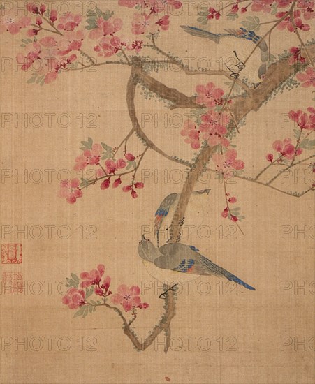 Flowers, Birds and Fish (Album of 13 leaves) (image 7 of 10), 1690. Creator: Ma Yuanyu.