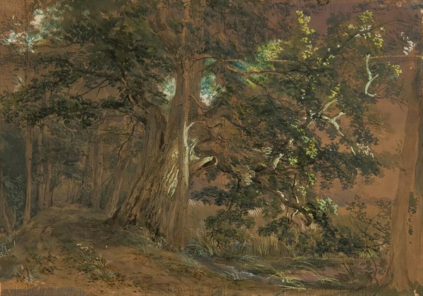 Forest interior near Lundenburg (maple group at a mountain lake), undated. Creator: Joseph Hoger.