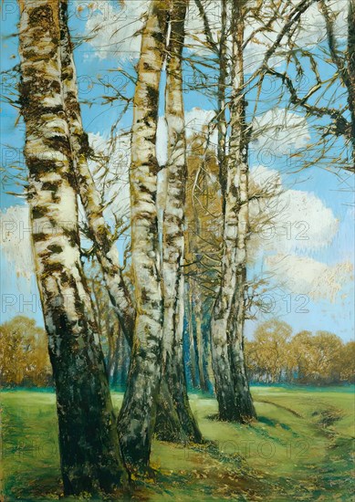 Birch trees, 1907. Creator: Ferdinand Engelmuller.