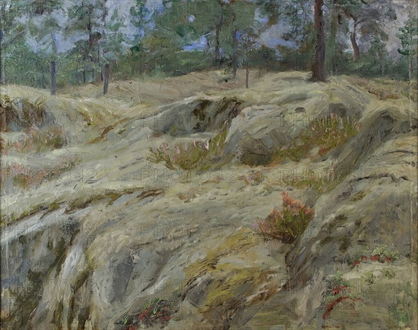 Forest interior, (c1930s). Creator: Ida Eléonora de Schulzenheim.