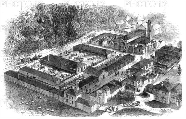 Birdseye view of the late Prince Consort's model farm at Windsor, 1862. Creator: Unknown.