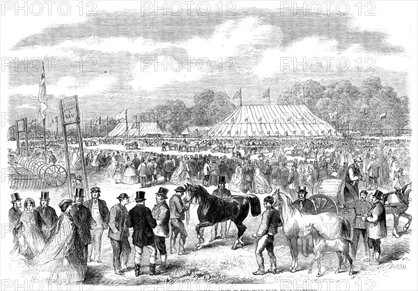 The Northamptonshire Agricultural Society's show in Burghley Park, near Stamford, 1862. Creator: Unknown.