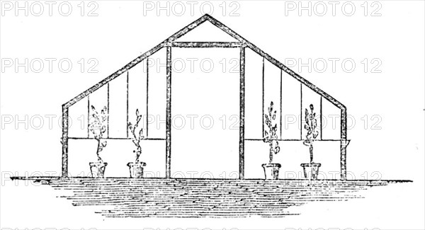 The International Exhibition: section of River's short-span glass orchard, 1862. Creator: Unknown.