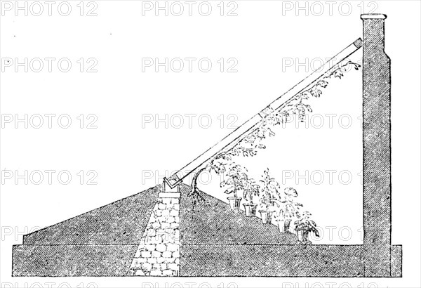 The International Exhibition: section of a Paxton lean-to vinery, 1862. Creator: Unknown.