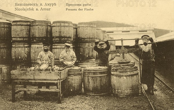 Nikolaevsk-on-Amur. Pressing fish, 1900. Creator: Unknown.