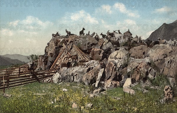 Altai Dwelling (Chaadyr), Katun River Valley, 1911-1913. Creator: Sergei Ivanovich Borisov.