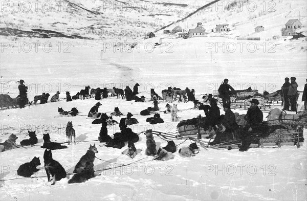 Loaded dog sleds on Petropavlovsk-Kamchatsky Square, 1910-1929. Creator: Ivan Emelianovich Larin.