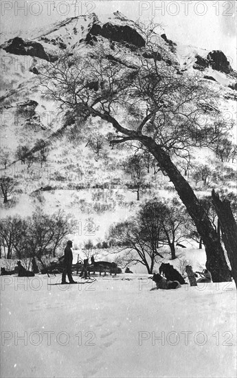 Dog sleds against the backdrop of the Kamchatka landscape, 1910-1929. Creator: Ivan Emelianovich Larin.