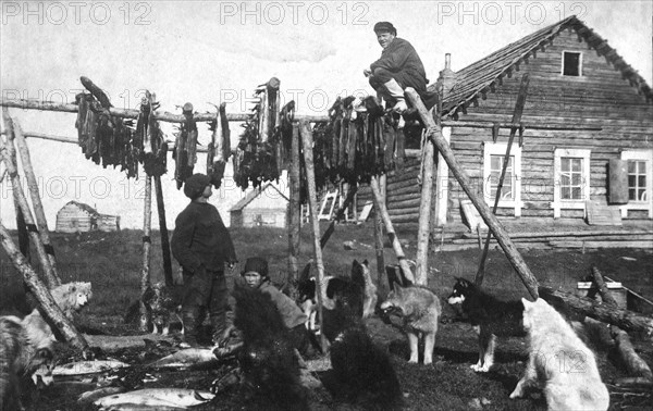 A log house covered with bark. Near the house there was a fish drying facility, 1910-1929. Creator: Ivan Emelianovich Larin.