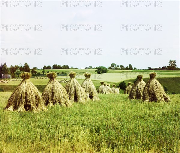 Harvested field, 1912. Creator: Sergey Mikhaylovich Prokudin-Gorsky.