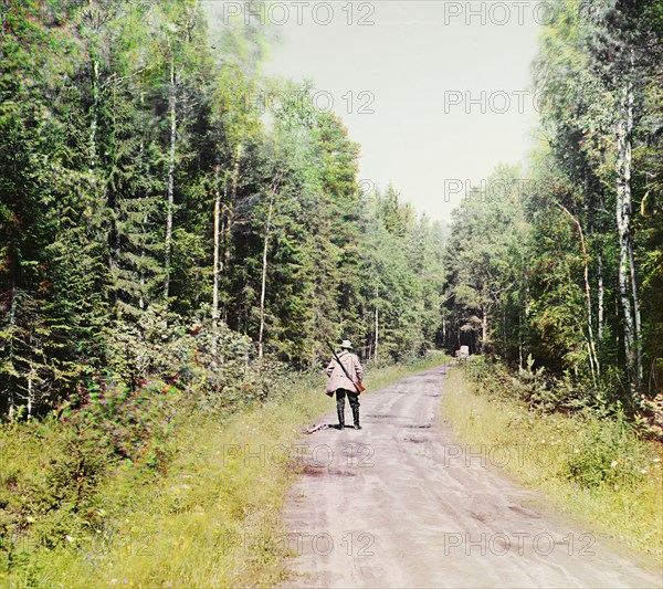 Study; in the forest near the Kivach waterfall. [Suna River], 1915. Creator: Sergey Mikhaylovich Prokudin-Gorsky.