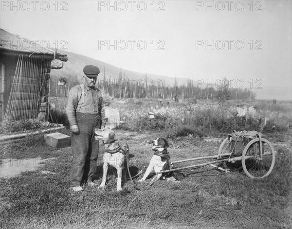 Dog cart, 1916. Creator: Unknown.