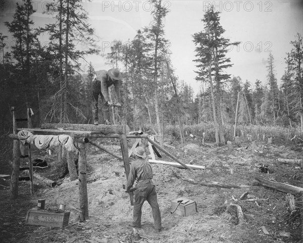 Sawing a log, 1916. Creator: Unknown.