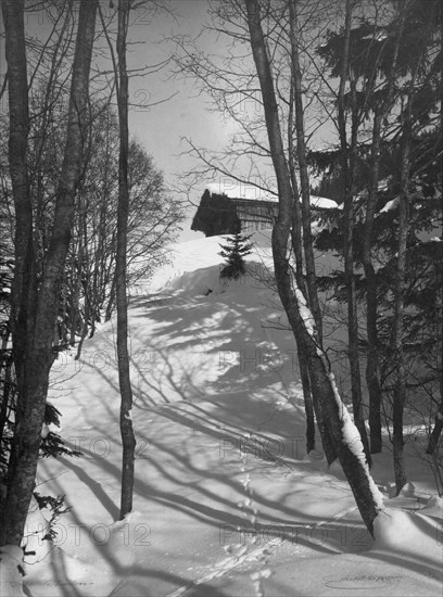 Animal tracks in the snow, 1916. Creator: Unknown.