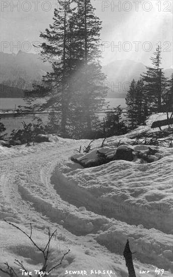 Snow covered trail, 1916. Creator: Unknown.