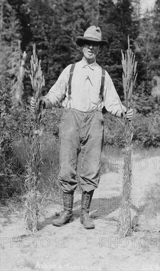 Mr. Johnson holding stalks of timothy, 1916. Creator: Unknown.